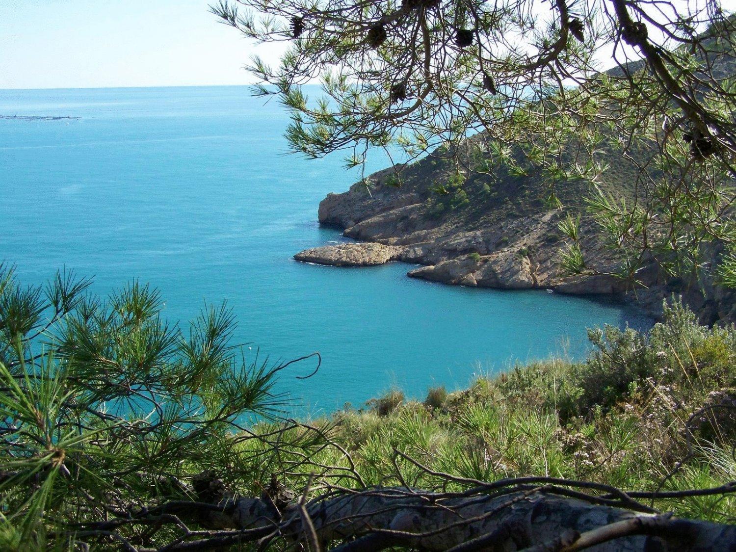 אלביר Apartamentos Mundaka Albir מראה חיצוני תמונה