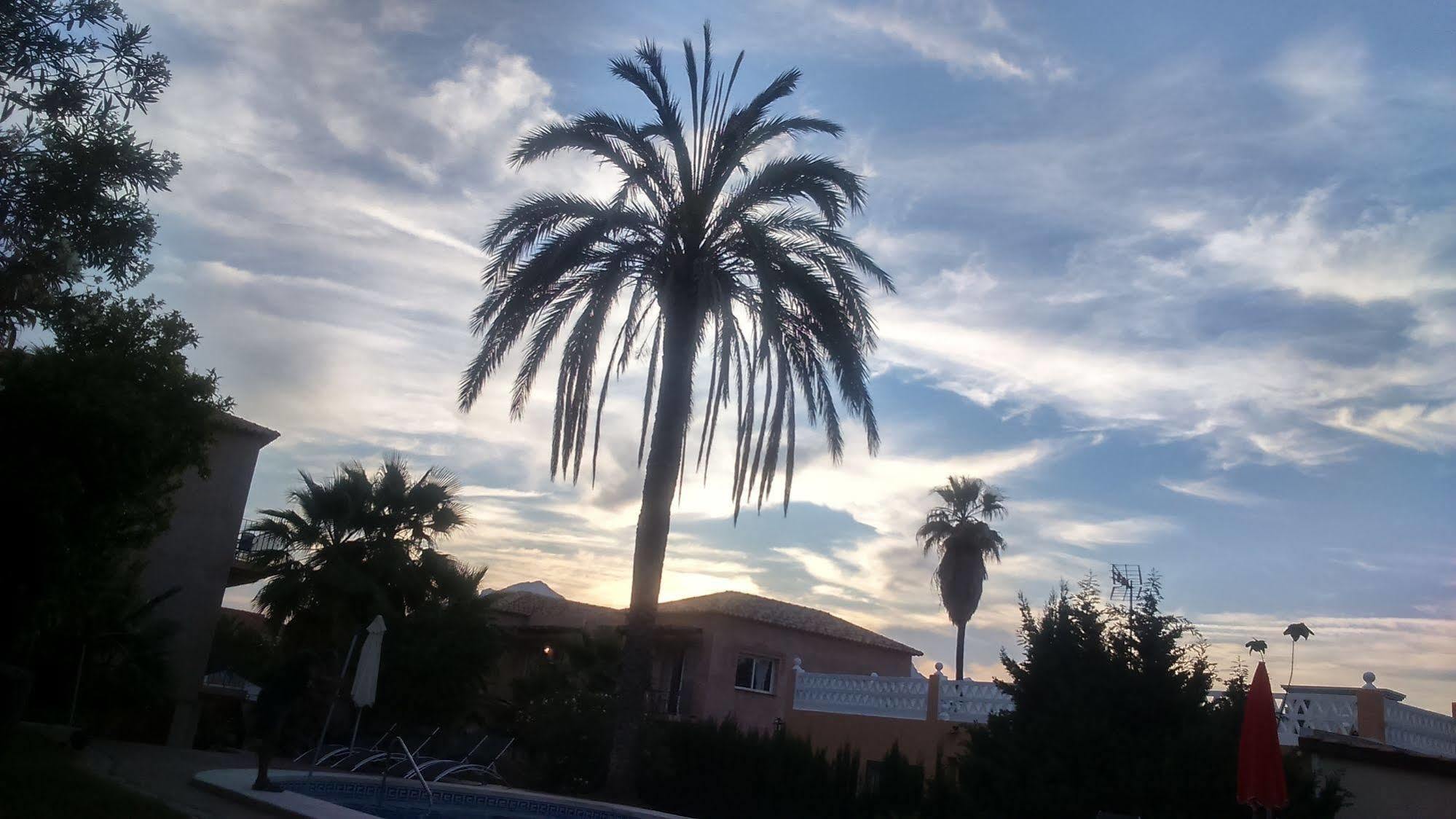 אלביר Apartamentos Mundaka Albir מראה חיצוני תמונה